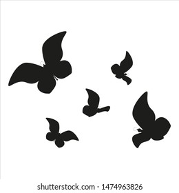 beautiful butterflies, blue,isolated on a white