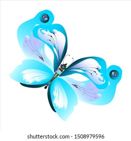 beautiful butterflies, blue,isolated on a white