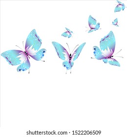 beautiful butterflies, blue,isolated on a white