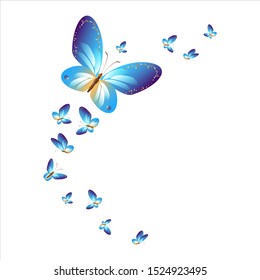 beautiful butterflies, blue,isolated on a white