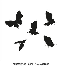 beautiful butterflies, blue,isolated on a white