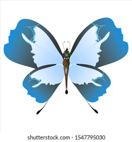 beautiful butterflies, blue,isolated on a white