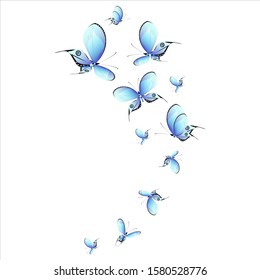 beautiful butterflies, blue,isolated on a white