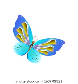 beautiful butterflies, blue,isolated on a white