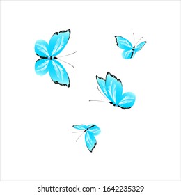 beautiful butterflies, blue,isolated on a white