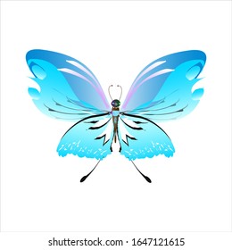 beautiful butterflies, blue,isolated on a white