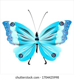 beautiful butterflies, blue,isolated on a white