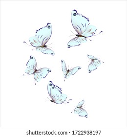 beautiful butterflies, blue,isolated on a white
