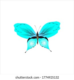 beautiful butterflies, blue,isolated on a white