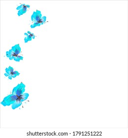 beautiful butterflies, blue,isolated on a white