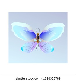 beautiful butterflies, blue,isolated on a white