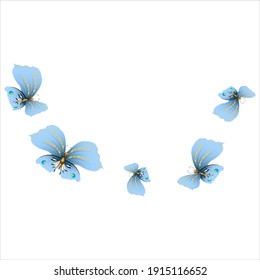 bellas mariposas azules, aisladas en un blanco