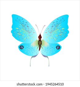 beautiful butterflies, blue,isolated on a white
