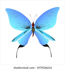 beautiful butterflies, blue,isolated on a white