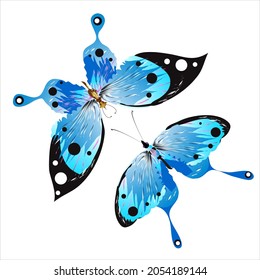 beautiful butterflies, blue,isolated on a white