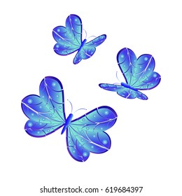 beautiful butterflies, blue,isolated on a white