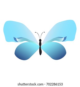 beautiful butterflies, blue,isolated on a white