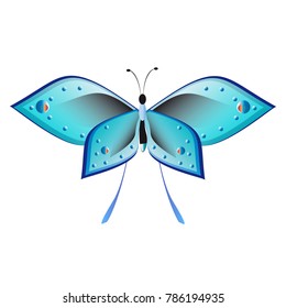 beautiful butterflies, blue,isolated on a white