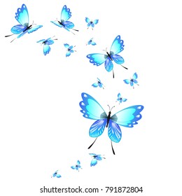 beautiful butterflies, blue,isolated on a white