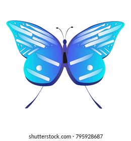 beautiful butterflies, blue,isolated on a white