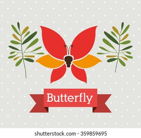 beautiful butterflies design 