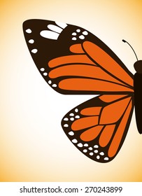 beautiful butterflies design, vector illustration eps10 graphic 