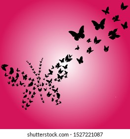 Beautiful butterflies flying 2d vector file