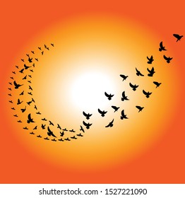 Beautiful butterflies flying 2d vector file