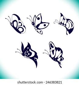 Beautiful butterflies insects isolated on white background. Set of Butterfly .