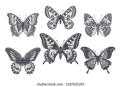 Beautiful Butterflies isolated on white background set. Vector black and white illustration of insects. Vintage engraving.