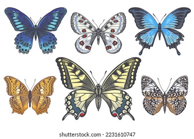 Beautiful Butterflies isolated on white background set. Vector color illustration of insects. Vintage engraving.