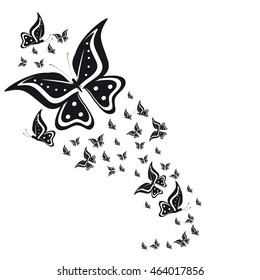beautiful  butterflies, isolated on a white