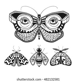 beautiful butterflies isolated on white, mystic hand drawn illustration with butterflies and moths