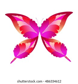 beautiful  butterflies, isolated on a white