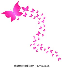 beautiful  butterflies, isolated on a white