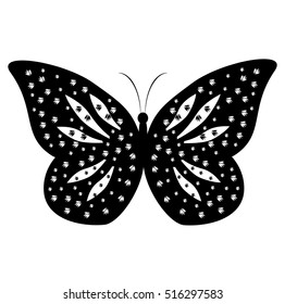 beautiful  butterflies, isolated on a white 
