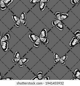 Beautiful butterflies on a graphic background. Dotted line. Isolated background.