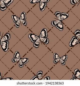 Beautiful butterflies on a graphic background. Dotted line. Isolated background.