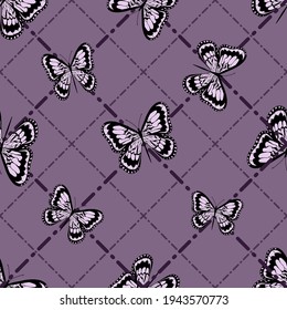 Beautiful butterflies on a graphic background. Dotted line. Isolated background.