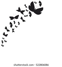 beautiful butterflies, on a white