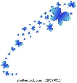 beautiful butterflies, on a white