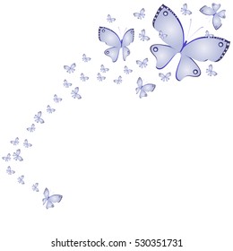 beautiful butterflies, on a white