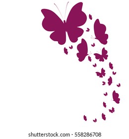 beautiful butterflies, on a white