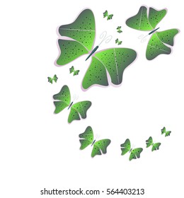 beautiful butterflies, on a white