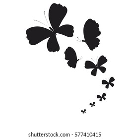 beautiful butterflies, on a white