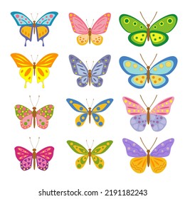 Beautiful butterflies set, isolated on the white background. Vector illustration.