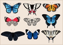 Beautiful Butterflies Set. Vector Isolated Elements On The Beige Background. Vintage Illustration.