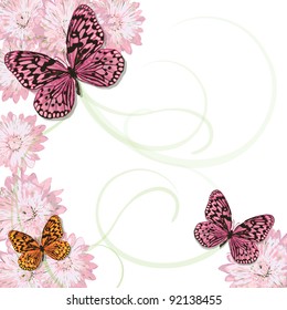 Beautiful Butterflies with soft swirl pattern and pink daisies. Plenty of copy space