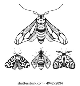 Beautiful butterflies, vector illustration, mystical butterflies with decorative ornamental wings.