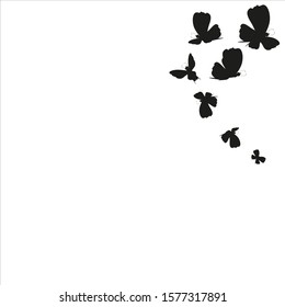 beautiful butterflies,isolated on a white 